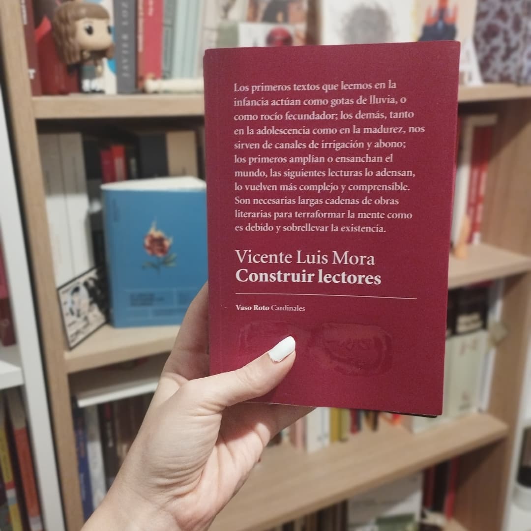 Una lectura de Construir lectores de Vicente Luis Mora. 
lecturasylecturas.blogspot.com/2024/11/constr…