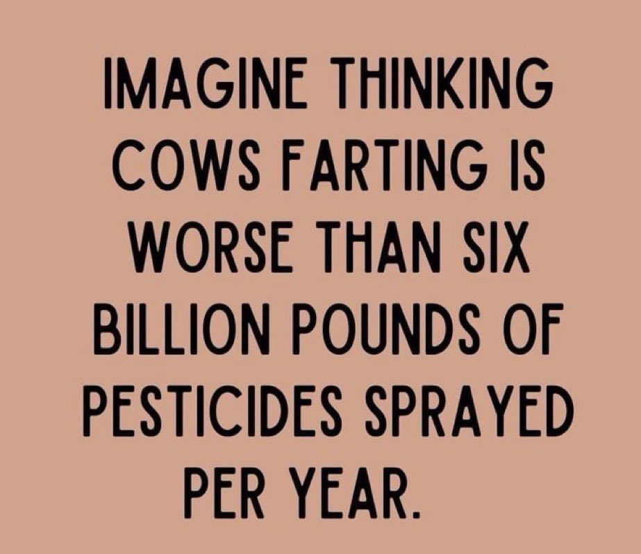 leilani dowding 🌸🚜 ☮️ tweet media