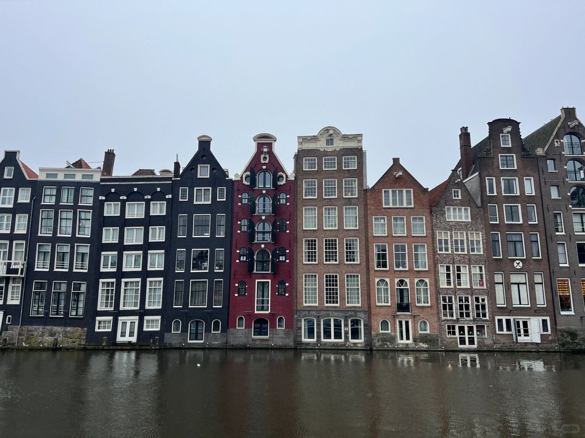 zero_ender1's tweet photo. Rotterdam🥳 https://t.co/KGwGFhoImr