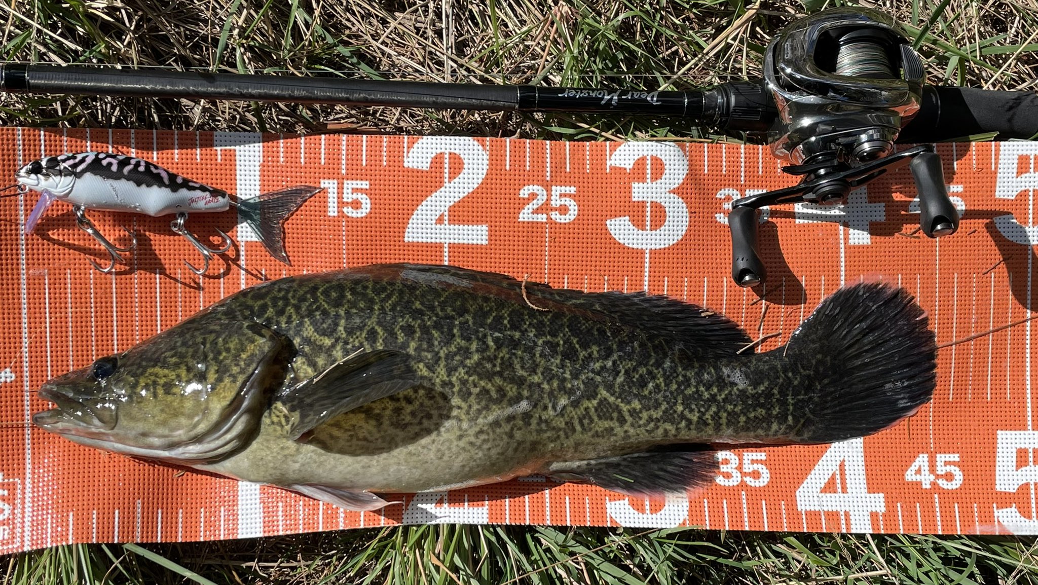 釣り糸 ライン エックスブレイド スーパージグマン X8 300m 14lb