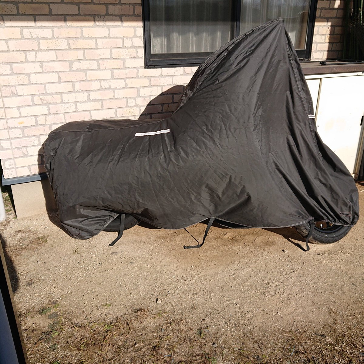 今年は、これで冬眠しました、残念無念また来😆👍️✨