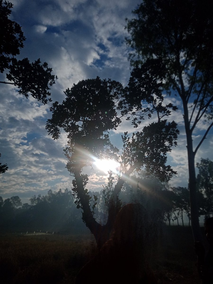 jonak2017's tweet image. #MorningView❤️🍂
#Wintermorning🌿