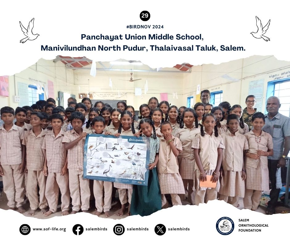 salembirds's tweet photo. #BirdNov – For Birds, Every November 
OrniSchool, climate literacy &amp; nature education initiative of the Salem Ornithological Foundation aimed at educating government primary &amp; middle school students.
#BirdNov2024 #BirdNov29
Read more on https://t.co/iSEcV6KMSt https://t.co/Ow43XwczLp