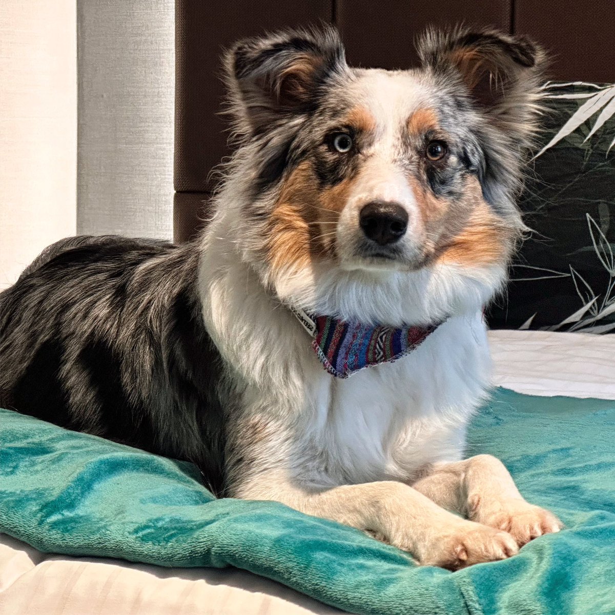 MarcellaTweet tweet media