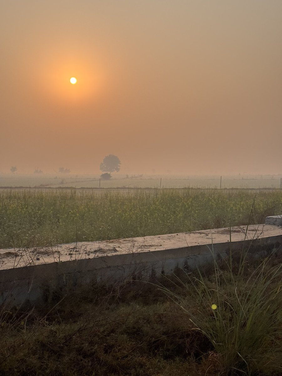 nisharai_ggc's tweet photo. When we were together for a 100 km Ride while #cycling we stopped for this Joyful watching
10 Sarus crane #birds near Yamuna Expressway Farm land Road towards #JewarAirport
#DYK #Sarus #Bird is Tallest flying birds on the world
#IndiAves
@ParveenKaswan
@prchandna
#birding https://t.co/zWWmYc7gDc