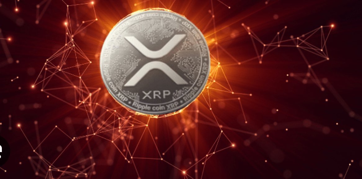 FinanceBro tweet media