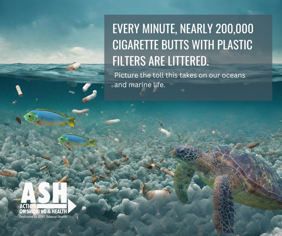 CADA MINUTO, 200.000 FILTROS de #TABACO, son tirados al SUELO y al MAR
Las COLILLAS son #PLÁSTICOS de UN SOLO USO y debieran de estar prohibidas, pero el LOBBY del TABACO presiona para que el PLANETA TIERRA siga siendo su CENICERO y su NEGOCIO ... Retuitear también es actuar !