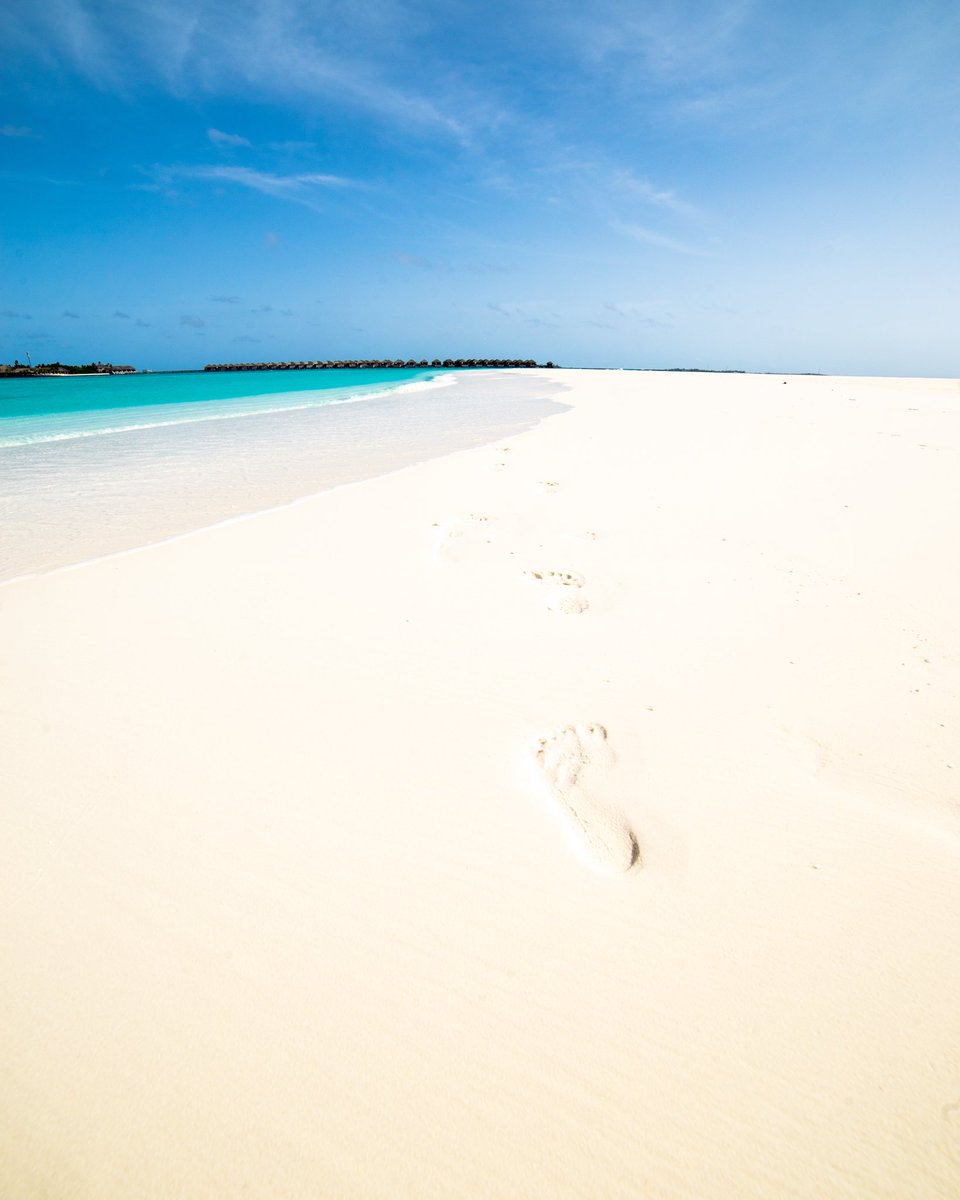 Cederfjärd tweet media