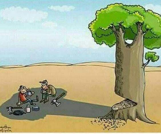 Imranumerwrites's tweet photo. Describe this in a word. https://t.co/FlYhf8br8R