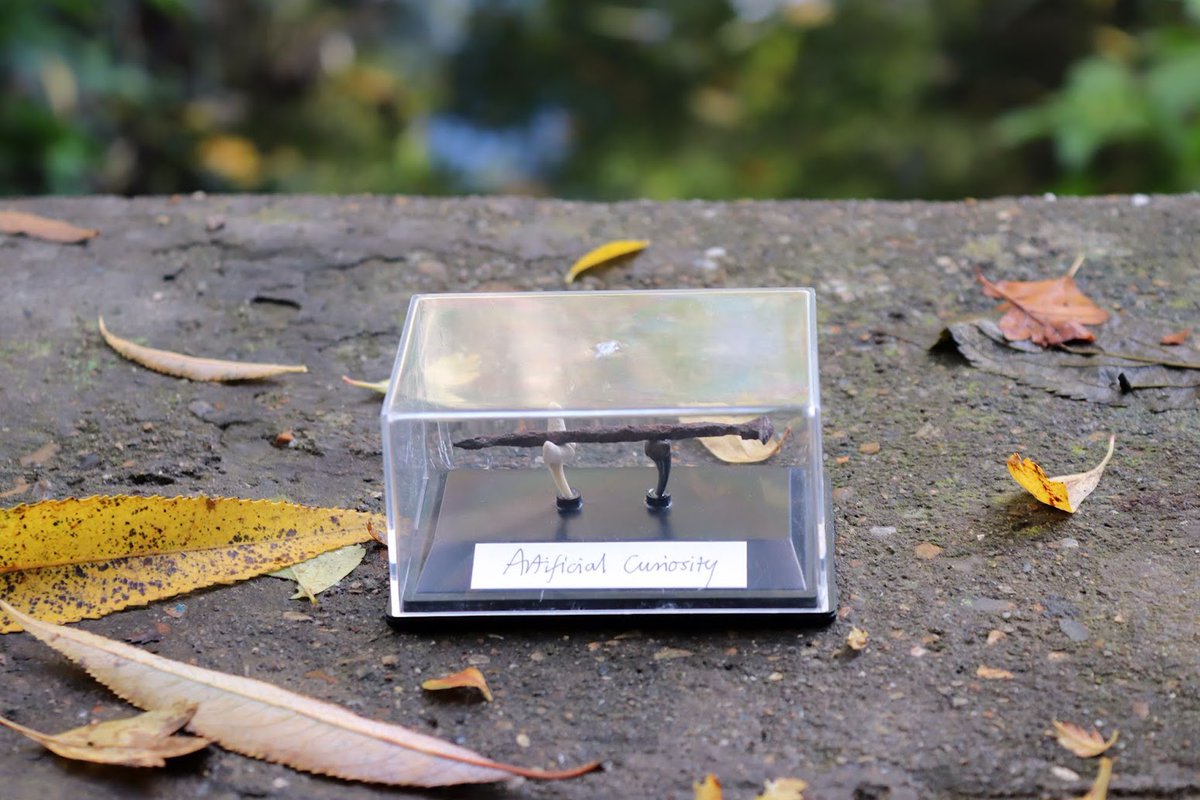 It's our penultimate day on the Sets, Series and Ensembles exhibition. We find Chris Brown's artefact on a small bridge over a culvert. Kim Reddick is our responder, he last wrote for <a href="/collectconnect4/">CollectConnect</a> at the Sentinel Trees exhibit, 2020. Read his words at collectconnect.blogspot.com/2024/11/chris-…