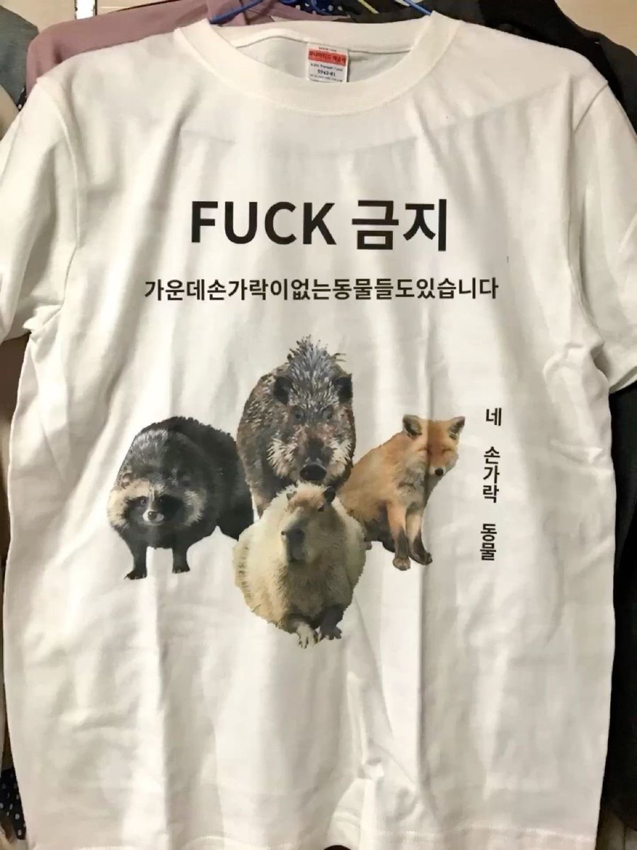 내 취향 사진들 (@myfavzzal) on Twitter photo 