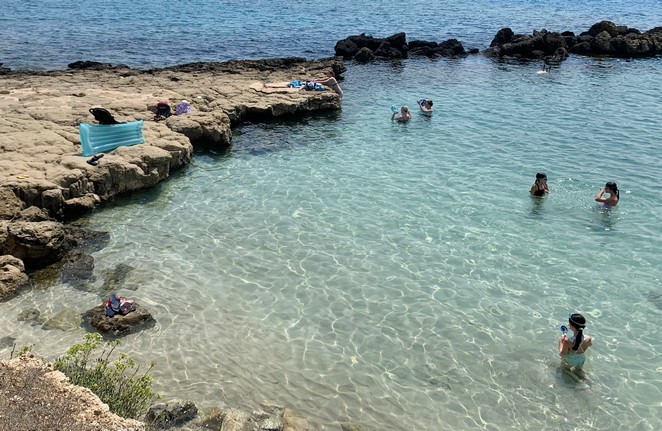 Denise Miltenburg tweet media