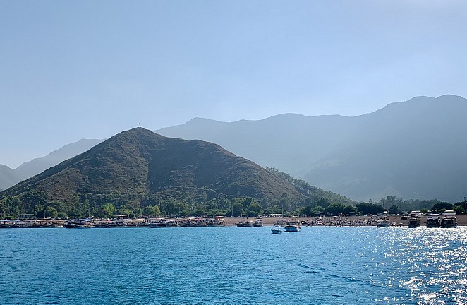 Denise Miltenburg tweet media