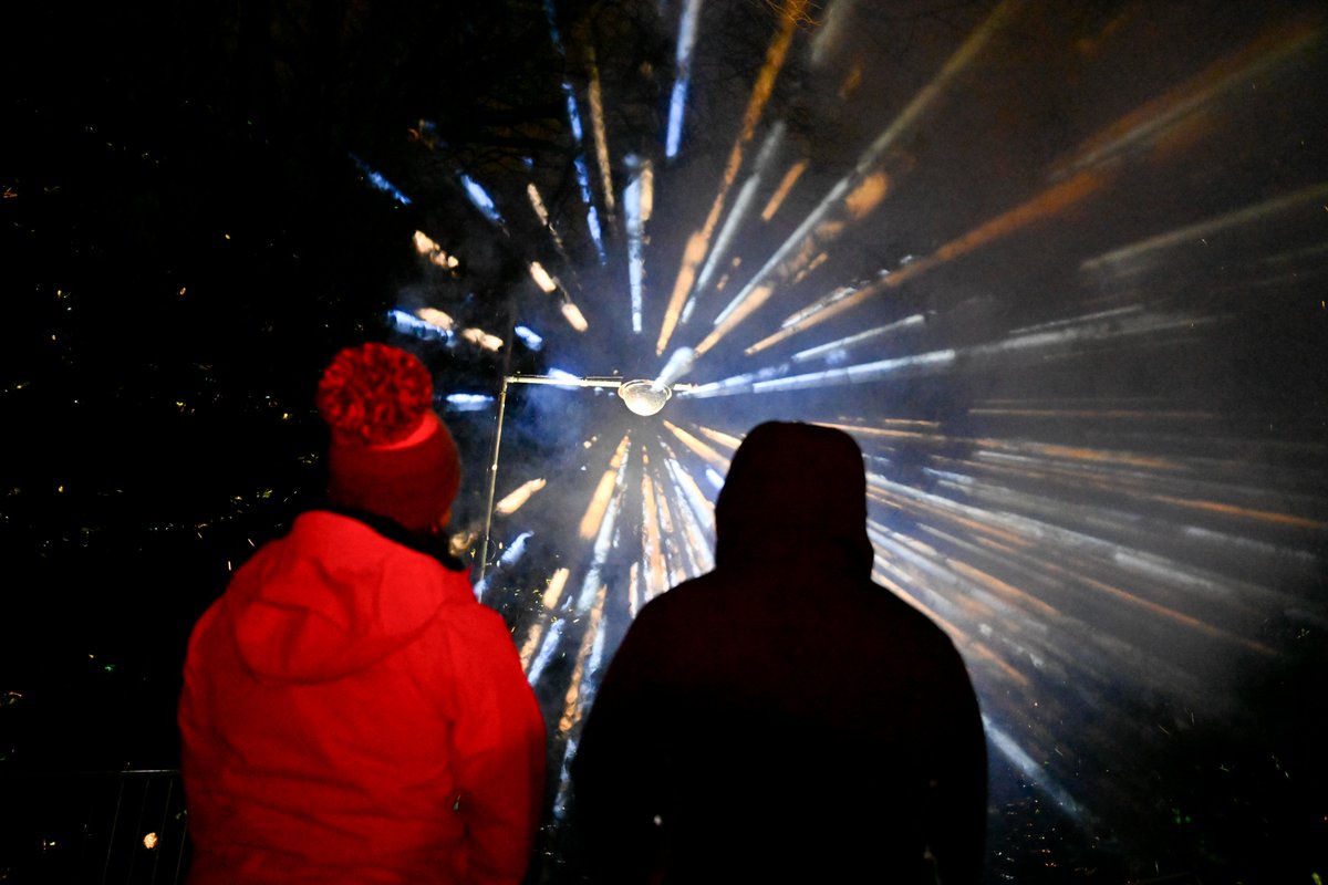 Everyone Here tweet media