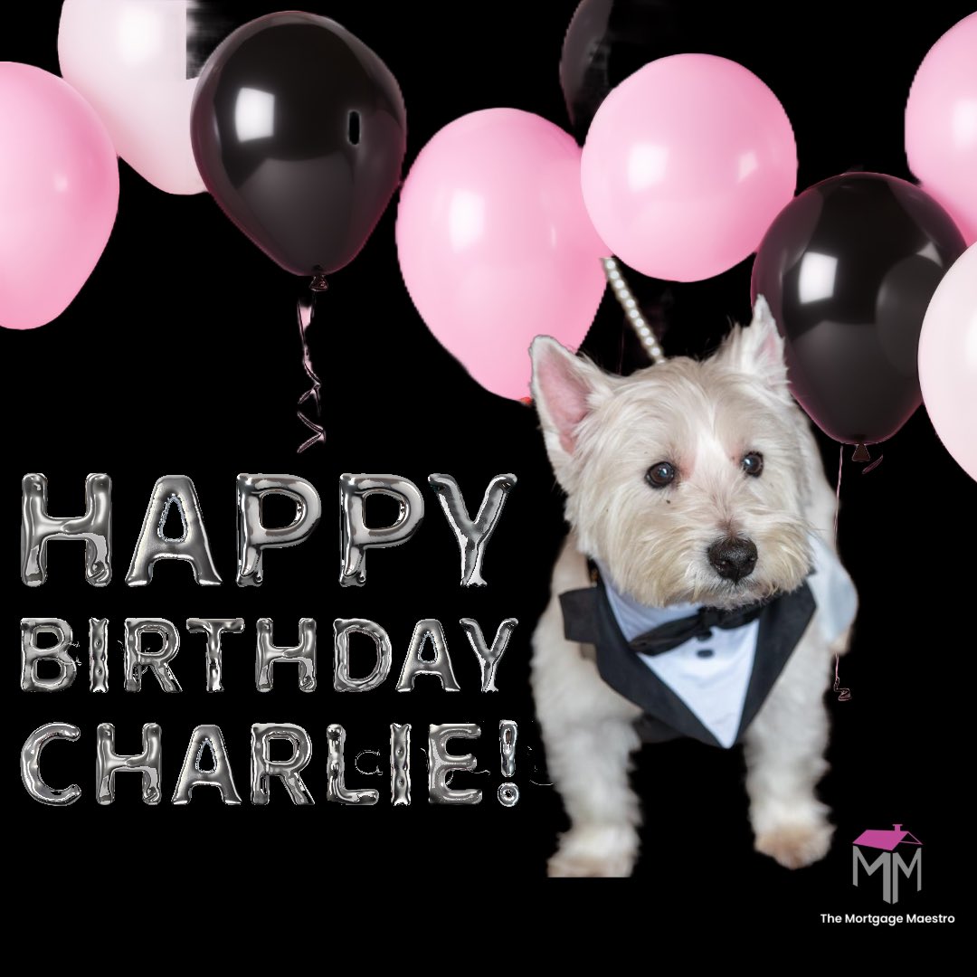 TheMaestroMTG's tweet image. 🐾🦴🎁There’s another team birthday today!🎁🦴🐾

Big happiest 13th birthday wishes to Charlie! He’s head of office security and snuggles and wins the award for the most power naps in a day at the office!

🖤🤍🩷

#mortgagebroker #TEAMMAESTRO #takeyourdogtowork #officedog