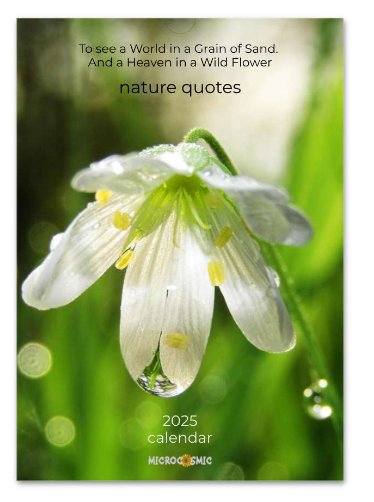 The Third Thing 2025 Calendar

also 
How the Light Gets In
Feathers
Scenic Nature
Nature quotes 

calendars from my shop
microcosmic.shop