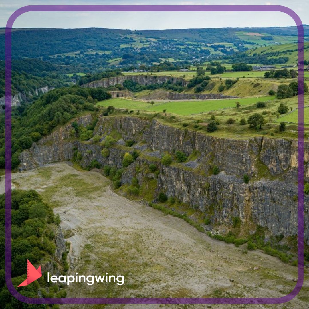 leapingwing tweet media
