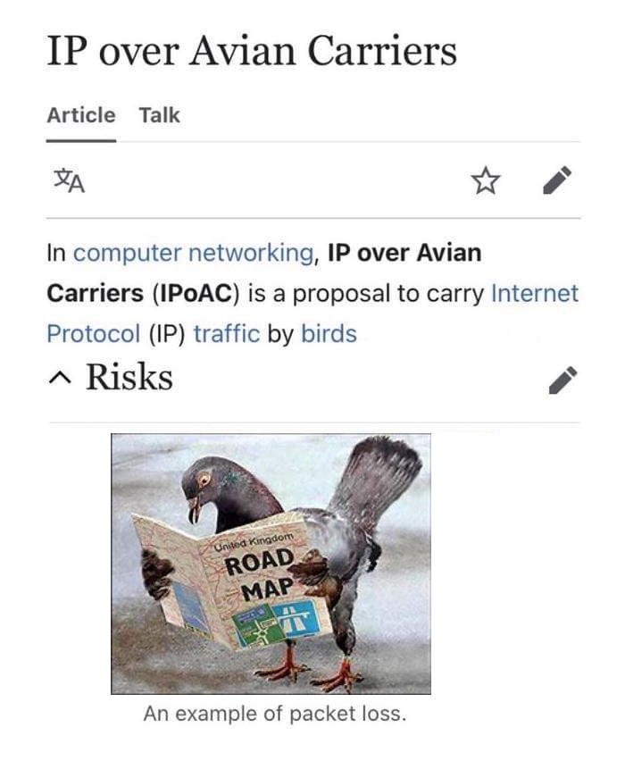 FastNetMon's tweet photo. You might have heard of the IPoAC protocol (IP over Avian Carriers) - a proposal to carry IP traffic by birds such as homing pigeons. It works - albeit with an insane ping time...
https://t.co/4DbSVs38XY
#NetworkingHumor #IPv6 #IPoAC #InternetProtocol #Funny #NetworkEngineering https://t.co/rfOio2ctoe
