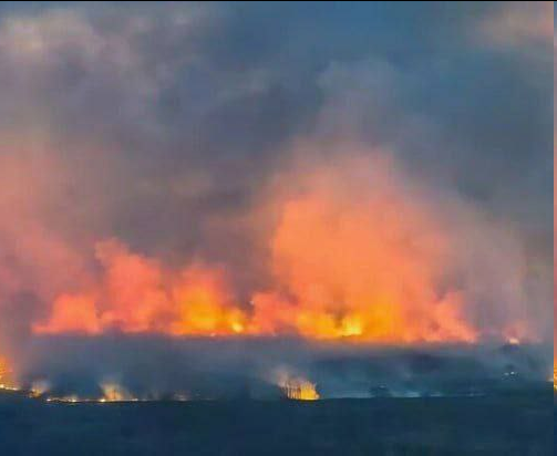 Carine Knapen tweet media