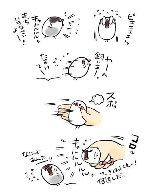 握らせると強気になるぶんちょ 