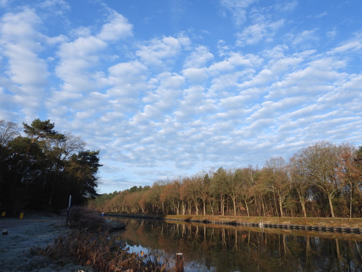 VanoppenMario's tweet photo. #vrtweer 
#lommelsesahara
10 uur https://t.co/kxwLP1CBvw