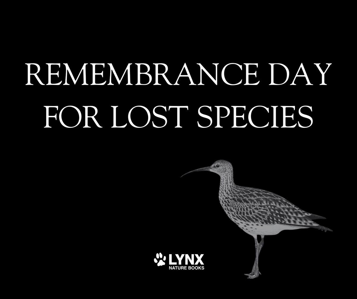 🌍 Today, on Remembrance Day for Lost Species, we reflect on the incredible creatures that we've lost forever and the ecosystems altered by their absence.