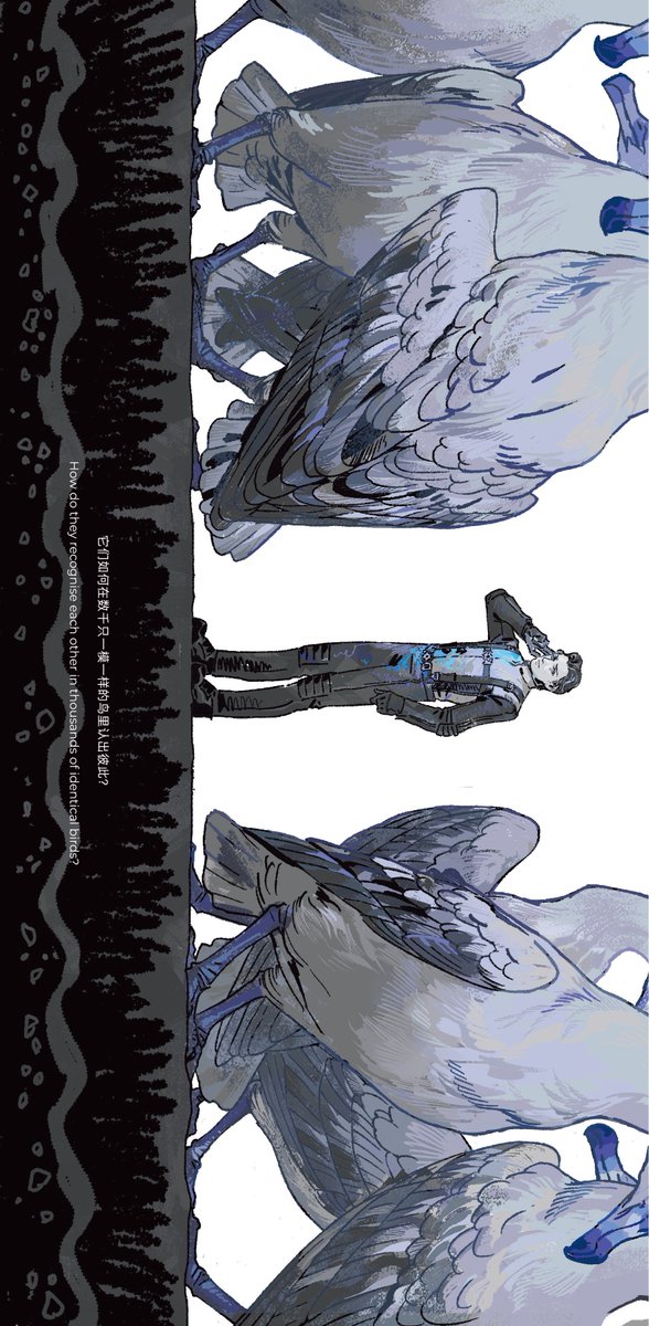 Cloudtaincrow's tweet photo. -The Albatross-02- https://t.co/5kmK5E9fqU