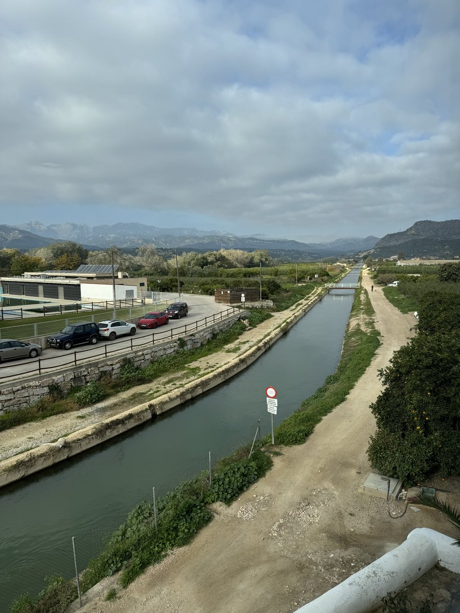 Maestrat Viu tweet media