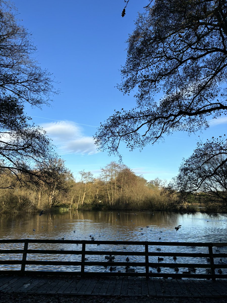 🎀HANNAH🎀 tweet media