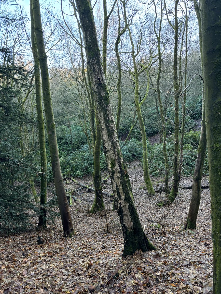 🎀HANNAH🎀 tweet media