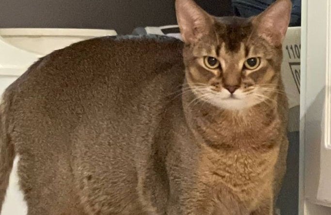 "แต่ว่าลีออนอ้วนจริงๆครับ" - เตนล์, 2024 5555555555555555555555555