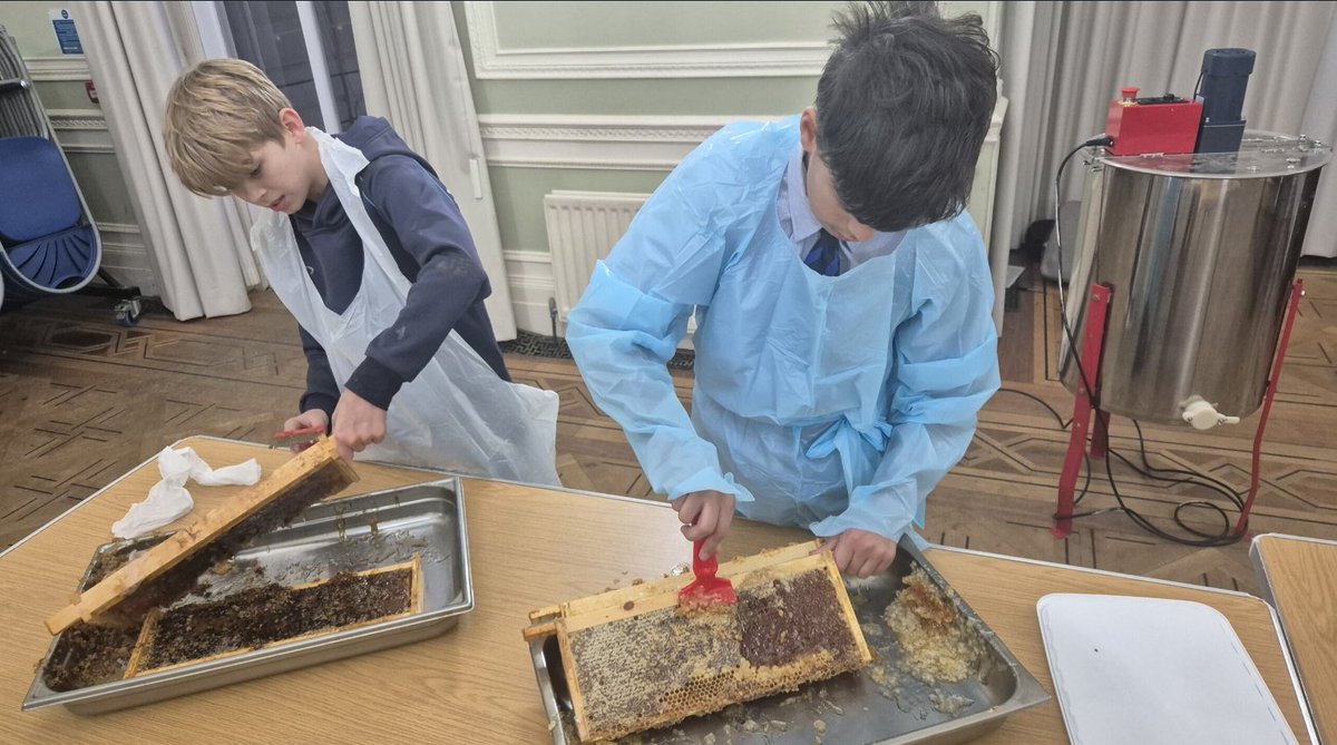 Exciting news from our Beekeeping Club! Our dedicated young beekeepers have been hard at work and the moment we've all been waiting for has arrived - they've extracted the honey from our hives! Through collaboration, patience and care, our Beekeeping Club has nurtured the