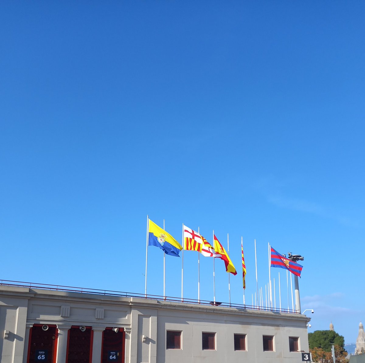 Ja som aquí!
Visca Las Palmas! 🟡🔵