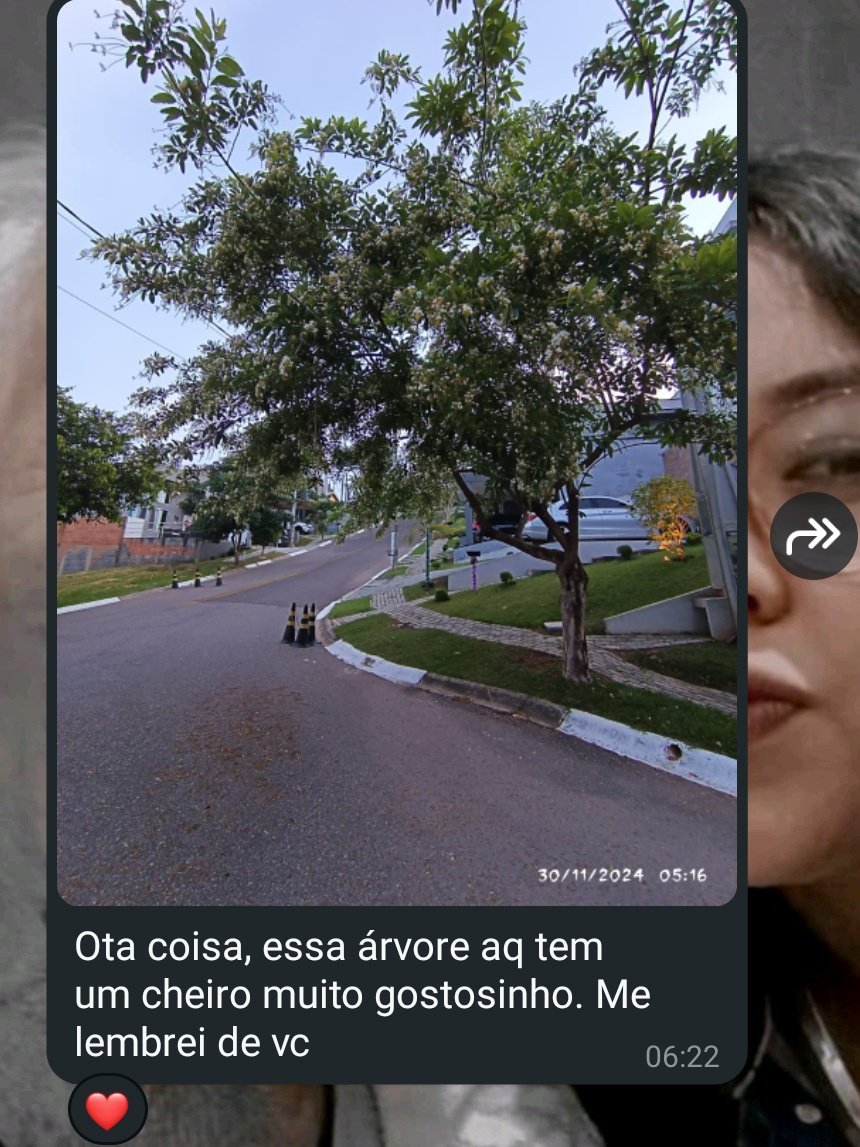 Muriel21Gi's tweet photo. ELITE senhoras e senhores, ELITE! https://t.co/fOx6hYDmKX