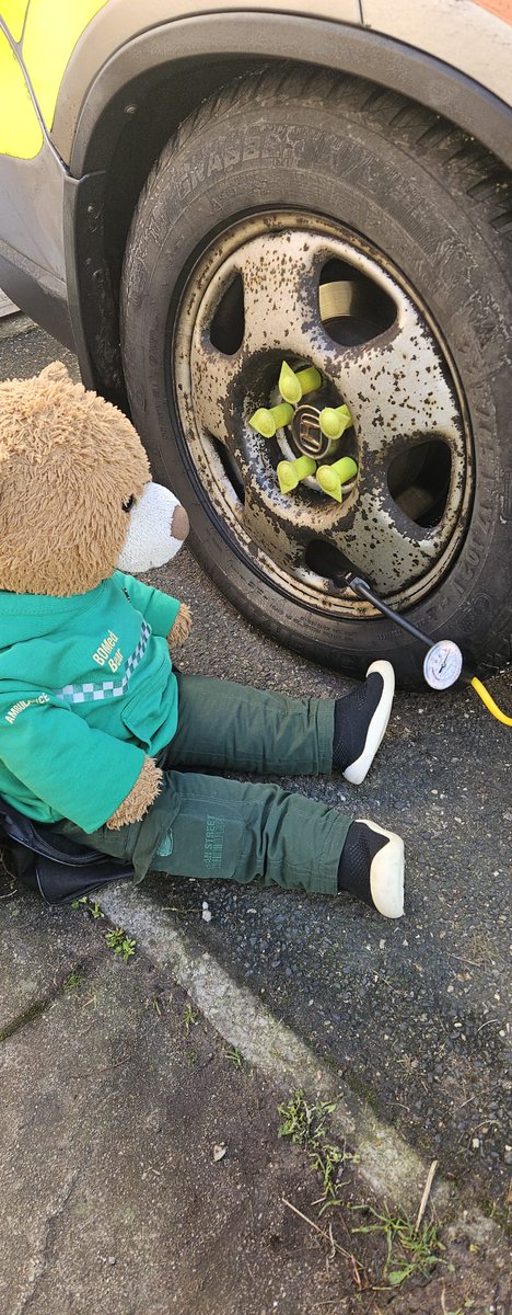 BDMed_Bear's tweet photo. Time to check all the tyres &amp; put air into Ffion the #MedicalSupportUnit to make sure she's perfect! It's very important to do these checks like tyres &amp; lights regularly &amp; to top up stuff like windscreen washer #bearswithjobs #equipmentofficer #fleetcheck #flowerchecks #safety https://t.co/ZTXCdqUB2S