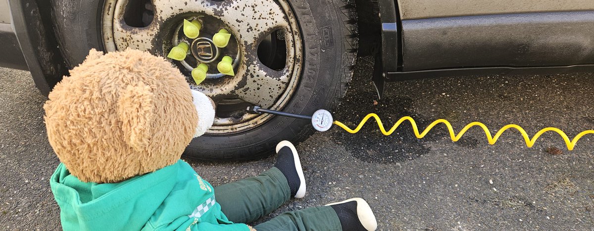 BDMed_Bear's tweet photo. Time to check all the tyres &amp; put air into Ffion the #MedicalSupportUnit to make sure she's perfect! It's very important to do these checks like tyres &amp; lights regularly &amp; to top up stuff like windscreen washer #bearswithjobs #equipmentofficer #fleetcheck #flowerchecks #safety https://t.co/ZTXCdqUB2S