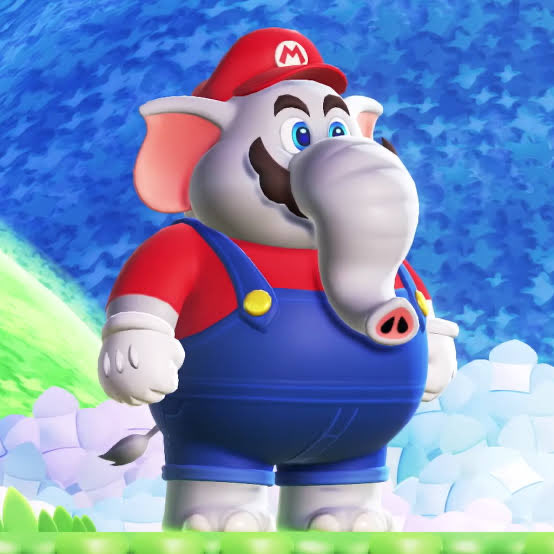 象マリオ