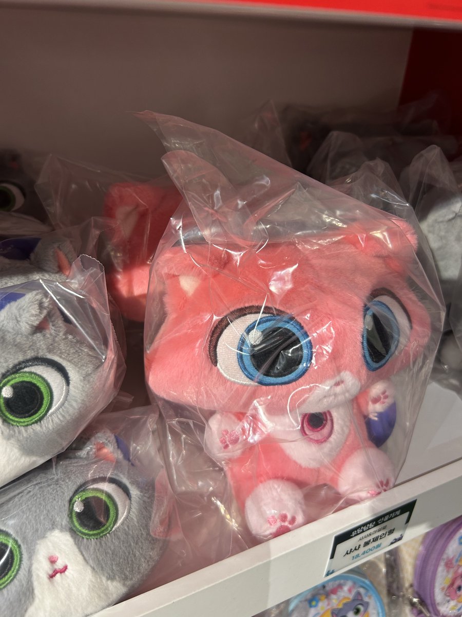 Pingo Entertainment tweet media