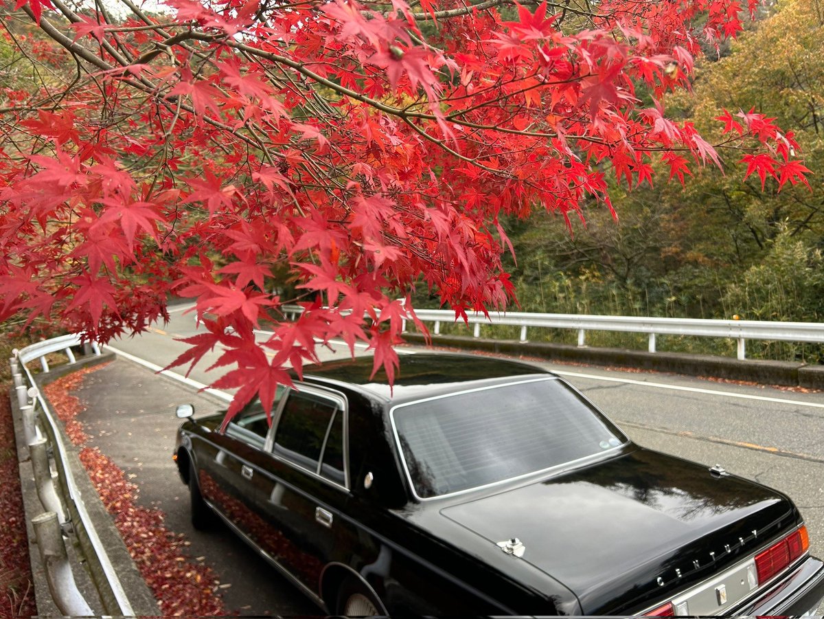 SSSS_GRIPMAN's tweet photo. Japanese🍁 https://t.co/g5F7i6RfWP