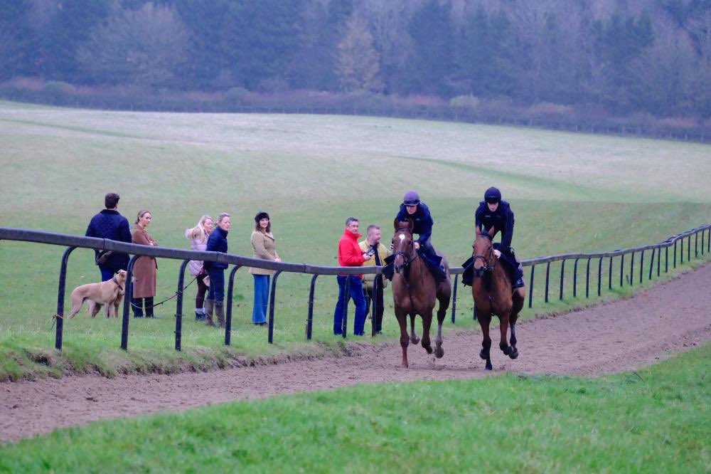 kimbaileyracing's tweet photo. Great way to start your weekend.. A morning on the gallops followed by breakfast at Thorndale as booked through @Course_Distance https://t.co/gkHu6XNZWo
