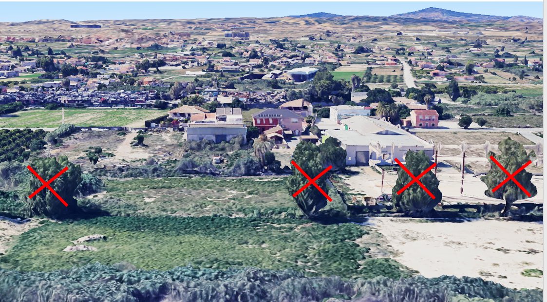 🍋 No eran 🌳🌳🌳🌳 del montón, no.

Eran enormes, de gran porte, elegantes y …..protegidos.

Eran parte del paisaje, aportaban sombra, fresco y cobijo a diversa fauna como la garza real que en este paraje habitaba.

Está semana los han talado.

Os lo contamos⬇️