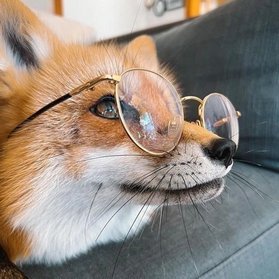 galleryforsunoo's tweet image. 🦊 #SUNOO #김선우 #ENHYPEN_SUNOO