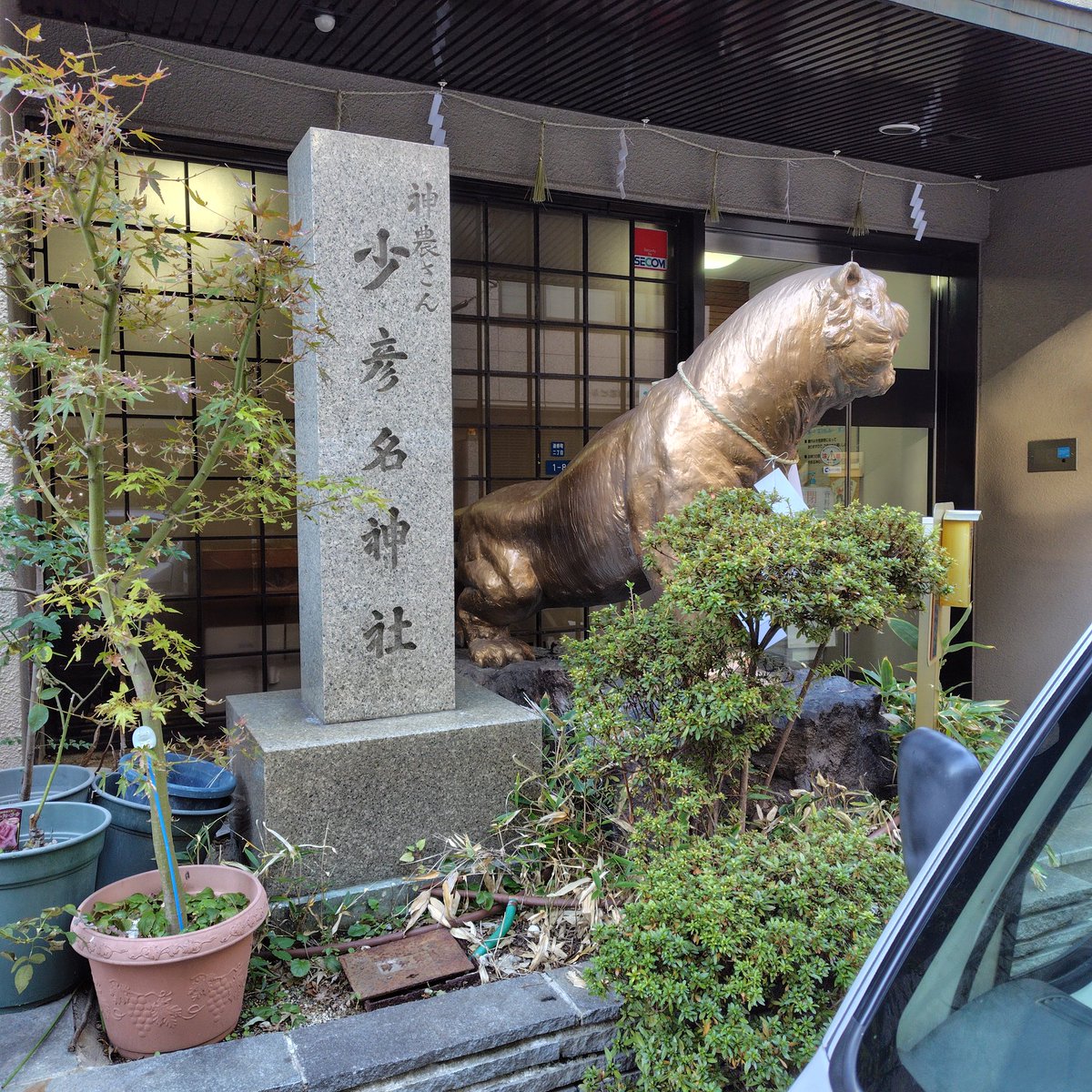 muthostella's tweet photo. 今日の神社⛩️ https://t.co/zB8J01oxJH