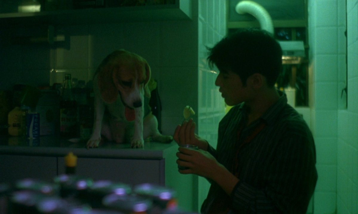 taesdawn26's tweet photo. chungking express takeshi kaneshiro will always be famous https://t.co/JteDEAQyVu