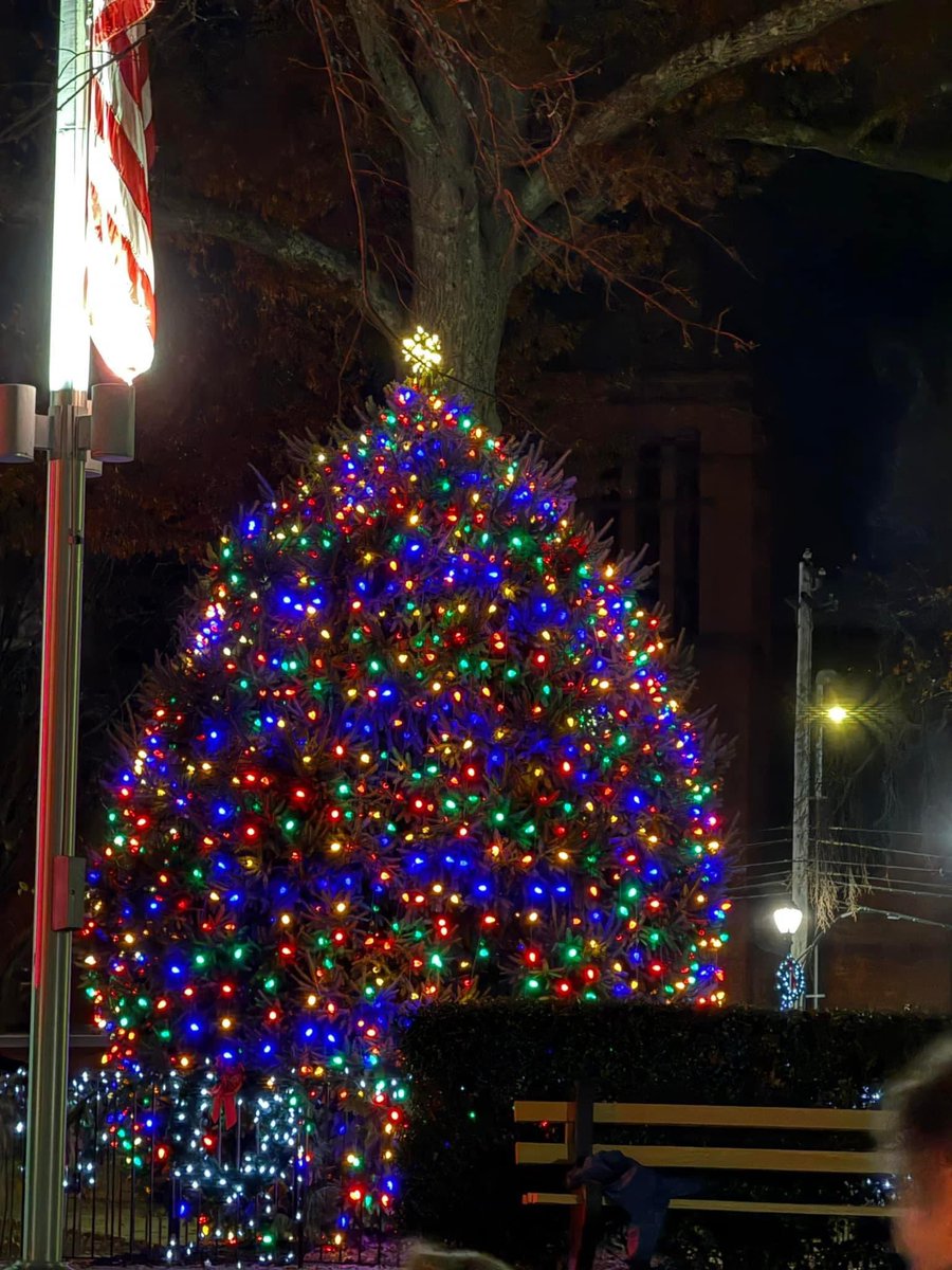 The tree lighting ceremony on the Green was magical! The performances by the DHS and Bradley School chorus were amazing and the tree sparkled. 

It was amazing to see so many members of our community come together. Thanks to everyone who made this evening so special.