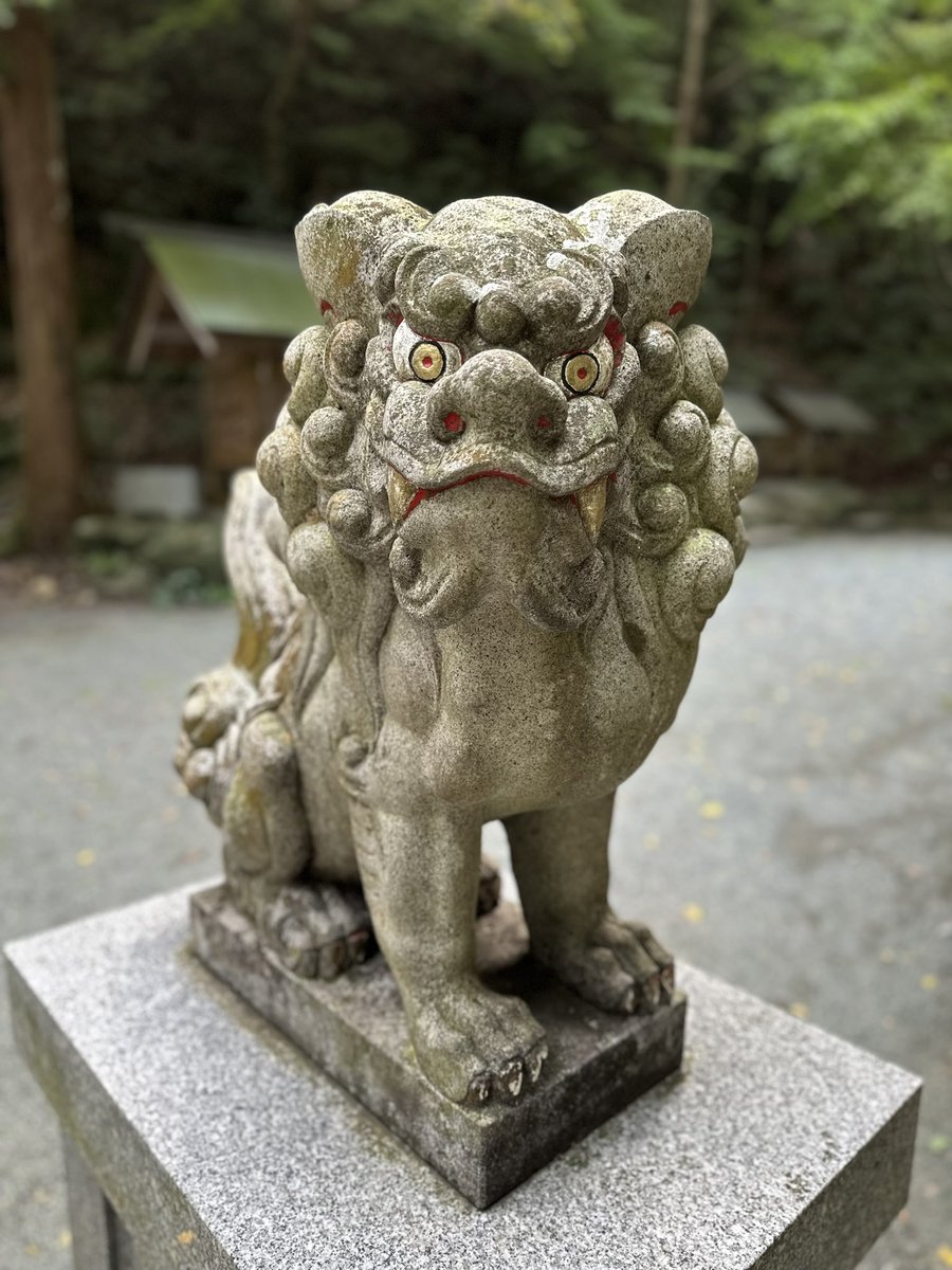 marty69jp's tweet photo. 伊野天照皇大神宮へ

福岡県糟屋郡久山町にある神社で、「九州の伊勢」とも呼ばれています。天照大神を祀る伊勢神宮と同様に、天照大神を主祭神として祀ってあります。神殿や建物の配置など、伊勢神宮を模倣して造られ、仲哀天皇の三韓征伐とのゆかりがあり、歴史ある神社です。 https://t.co/wM6Y6Mic9c