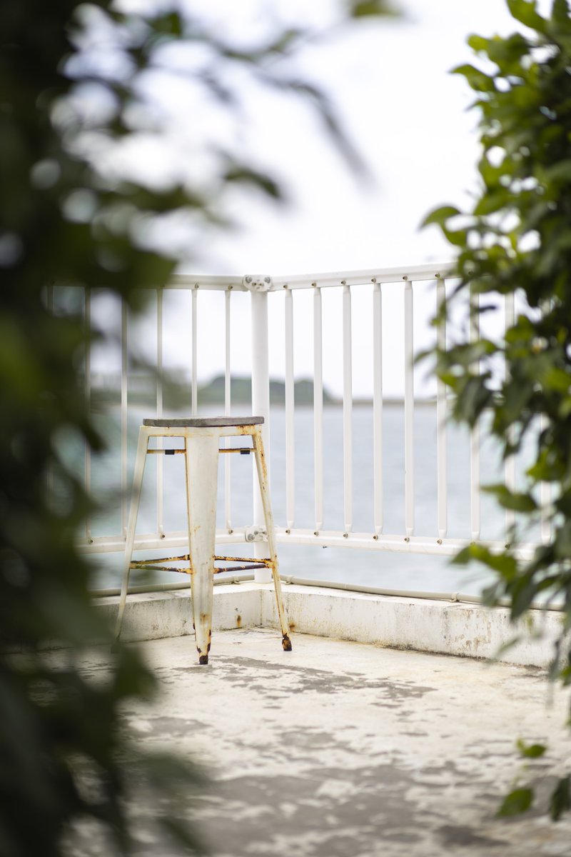 ishimina1011's tweet photo. #スナップ写真
#Canon #eosr6markⅡ https://t.co/MTOriOxUdZ