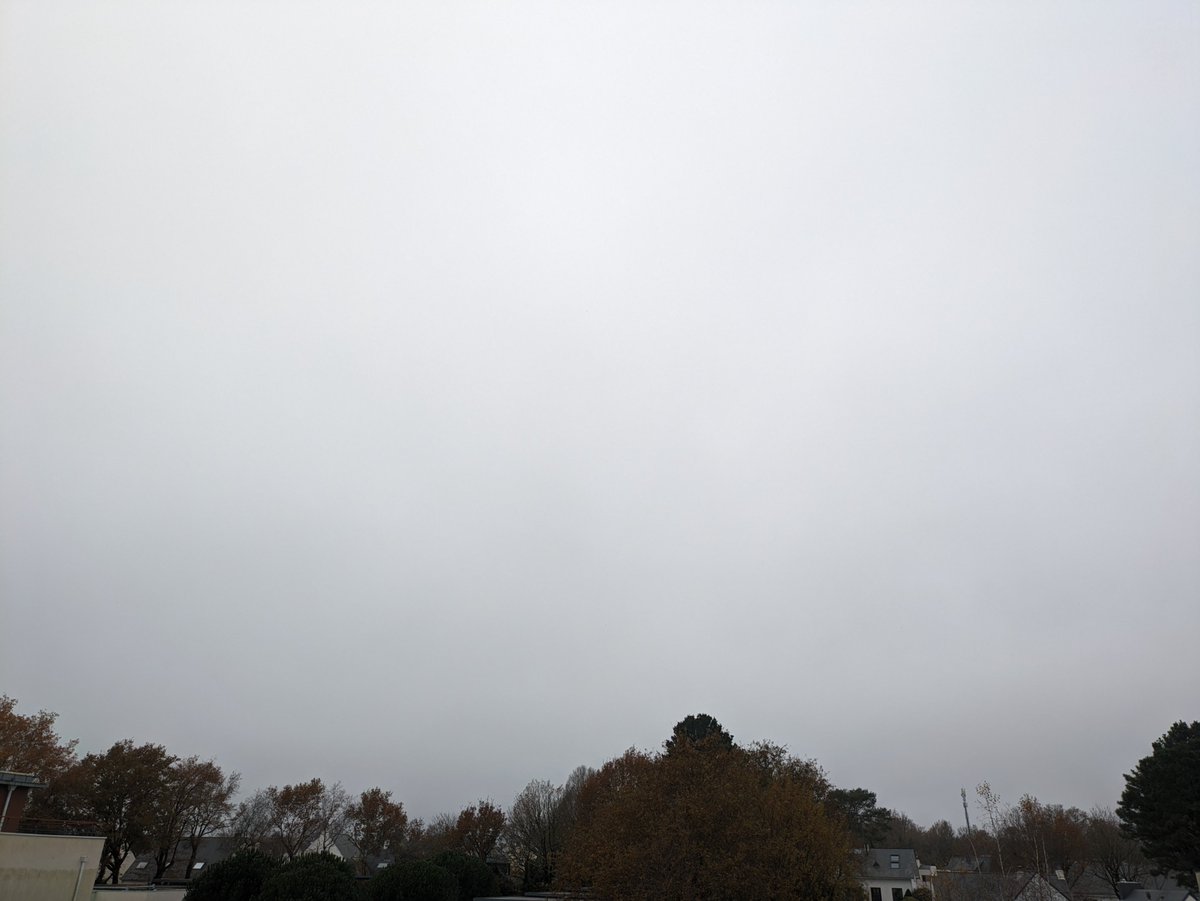 Mirandoline tweet media