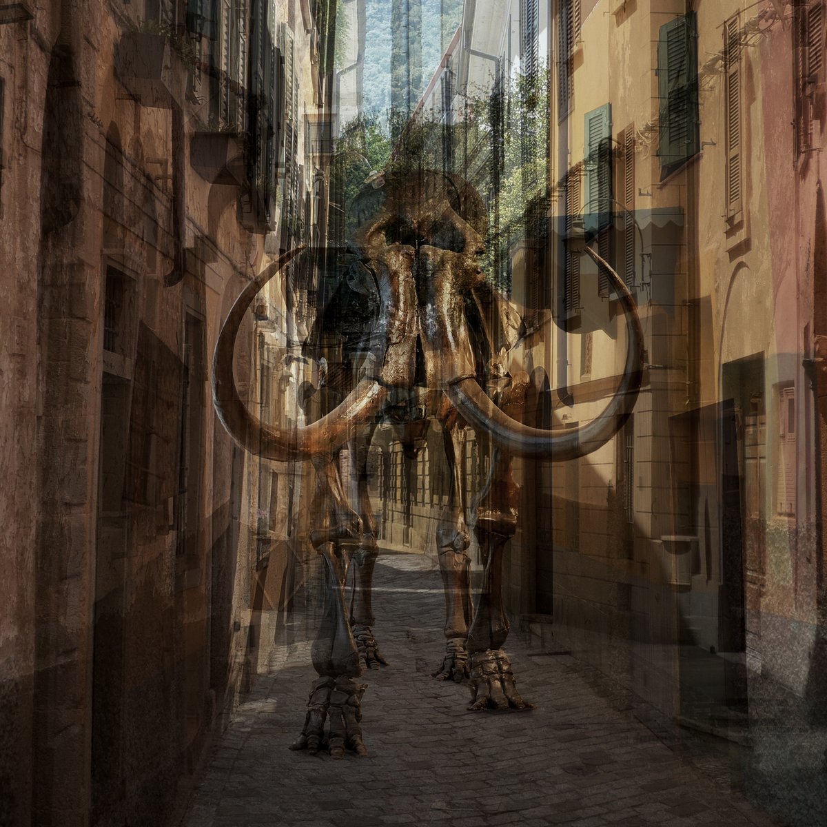 GM!
Extinct I - Promenade 
The humorous undertones of this creature engaging in human-like strolling behaviour quickly gives way to a chilling reflection on our self-destructive tendencies. 
Battering ram of the EXTINCT series of works, Promenade is a reminder of our fragility