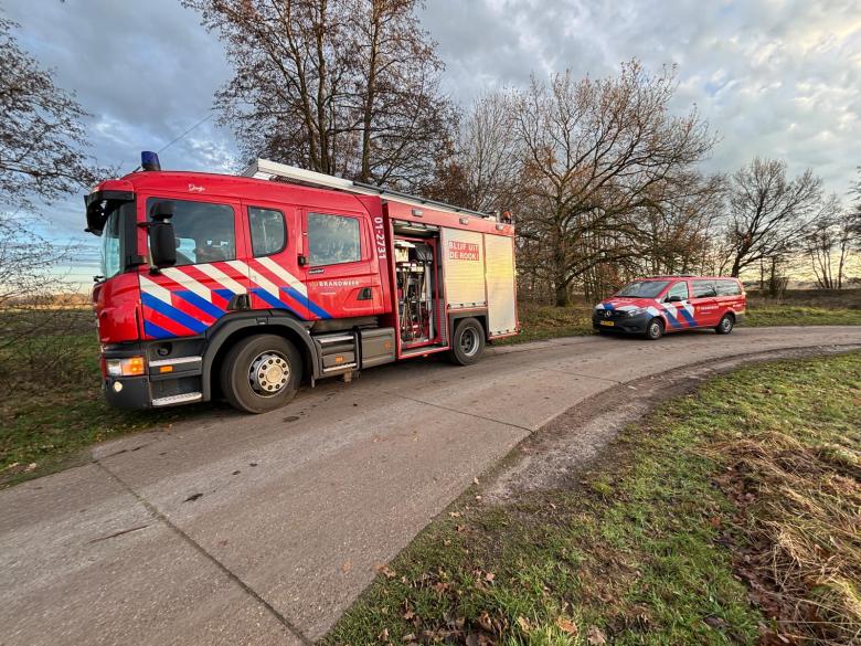 Konikpaarden gered uit het water door brandweer